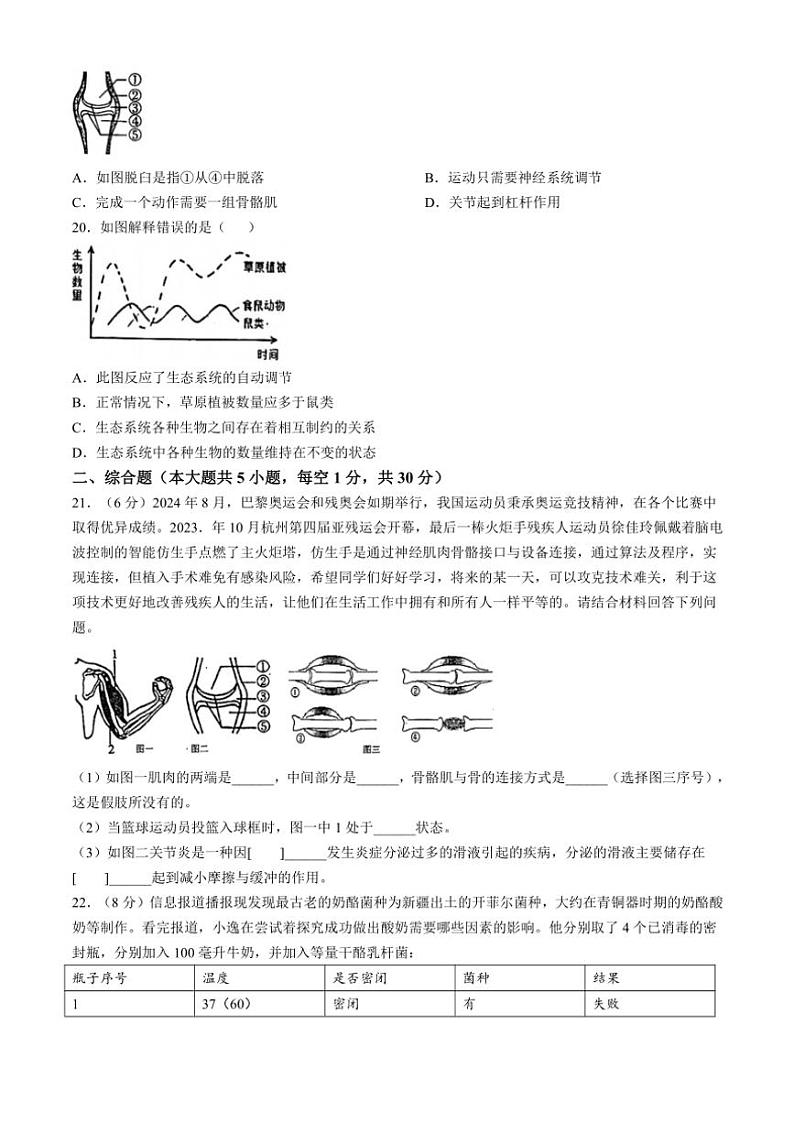 江西省赣州市龙南市2024～2025学年八年级(上)期中生物试卷(含答案)第3页