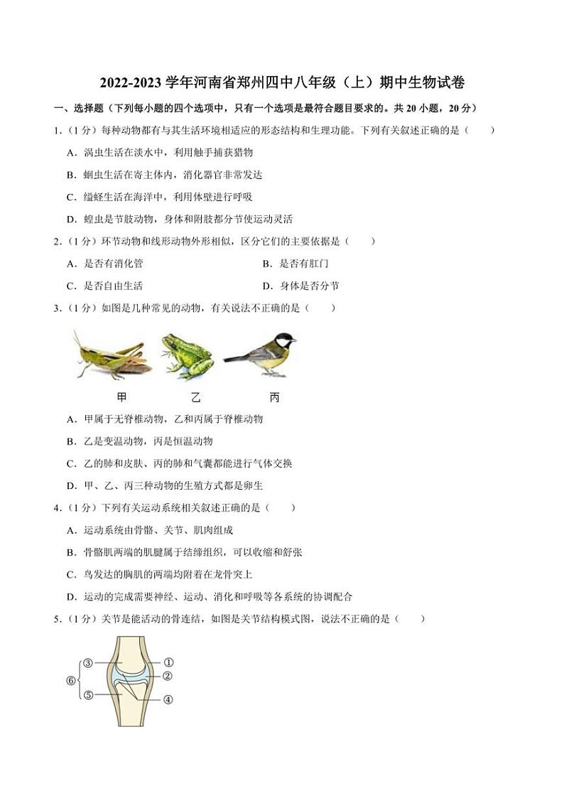 河南省郑州市第四中学2022～2023学年八年级(上)期中生物试卷(原卷版+解析版)第1页