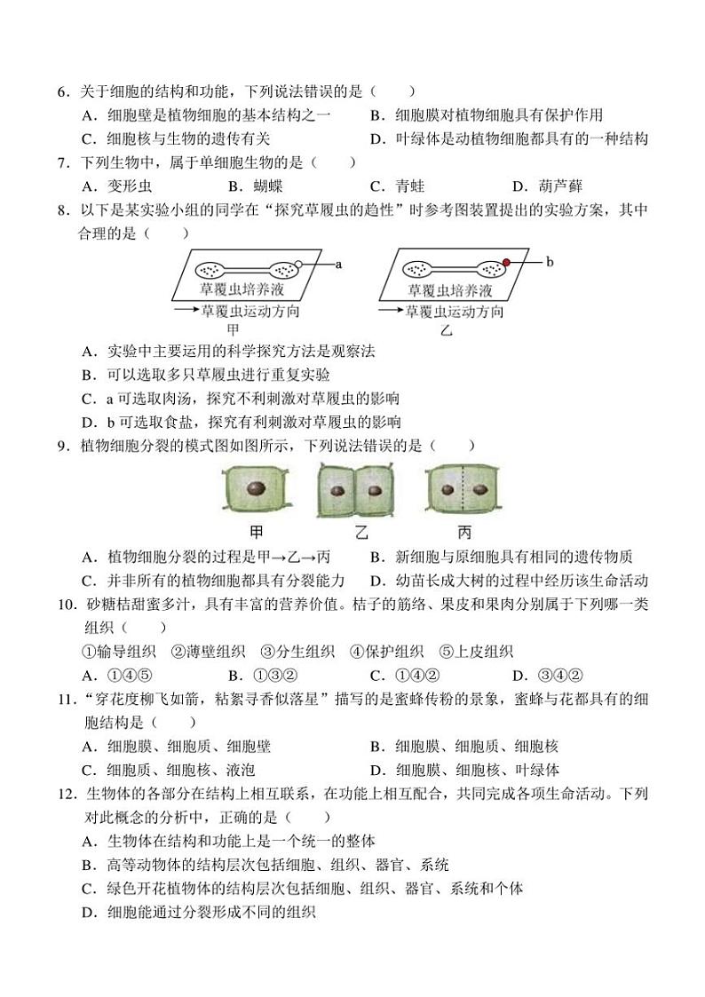 山东省济宁市金乡县2024～2025学年七年级(上)期中生物试卷(含答案)第2页