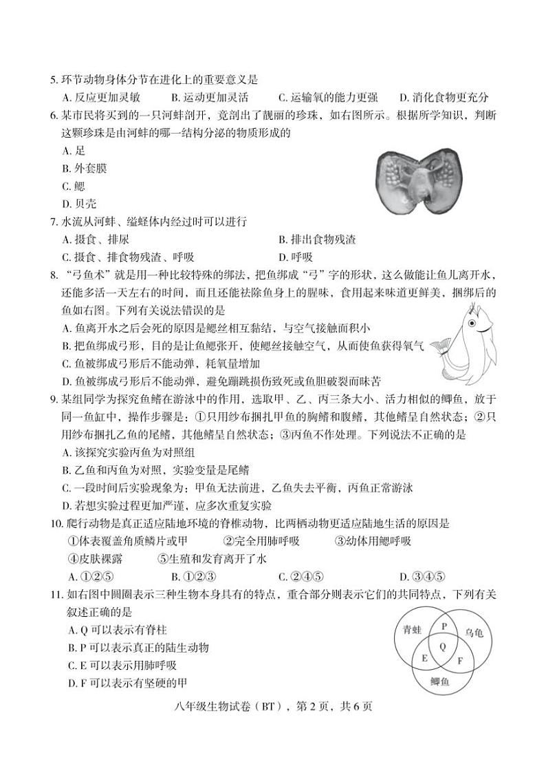 河北省沧州市泊头市2024～2025学年八年级(上)期中教学质量检测生物试卷(含答案)第2页