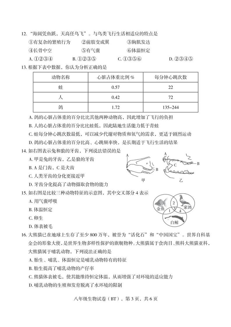 河北省沧州市泊头市2024～2025学年八年级(上)期中教学质量检测生物试卷(含答案)第3页