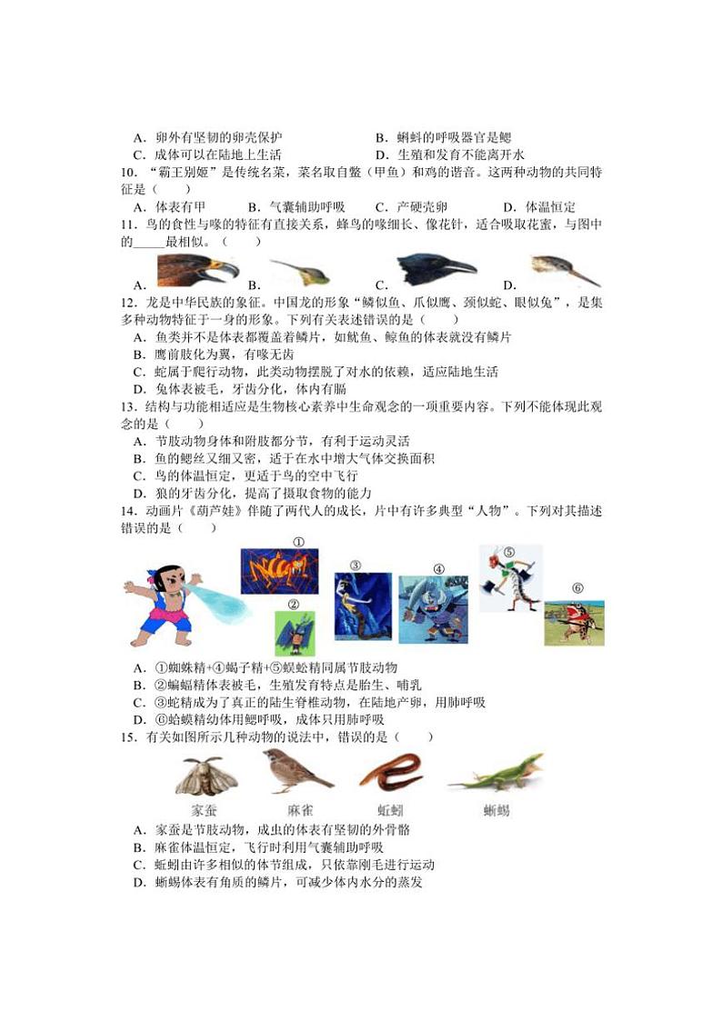 湖南省邵阳市武冈市2024～2025学年八年级(上)期中生物试卷(含答案)第2页