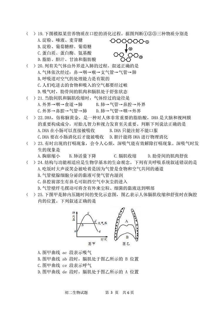（教研室提供）山东省淄博市淄川区（五四制）2024-2025学年七年级上学期期中考试生物试题第3页