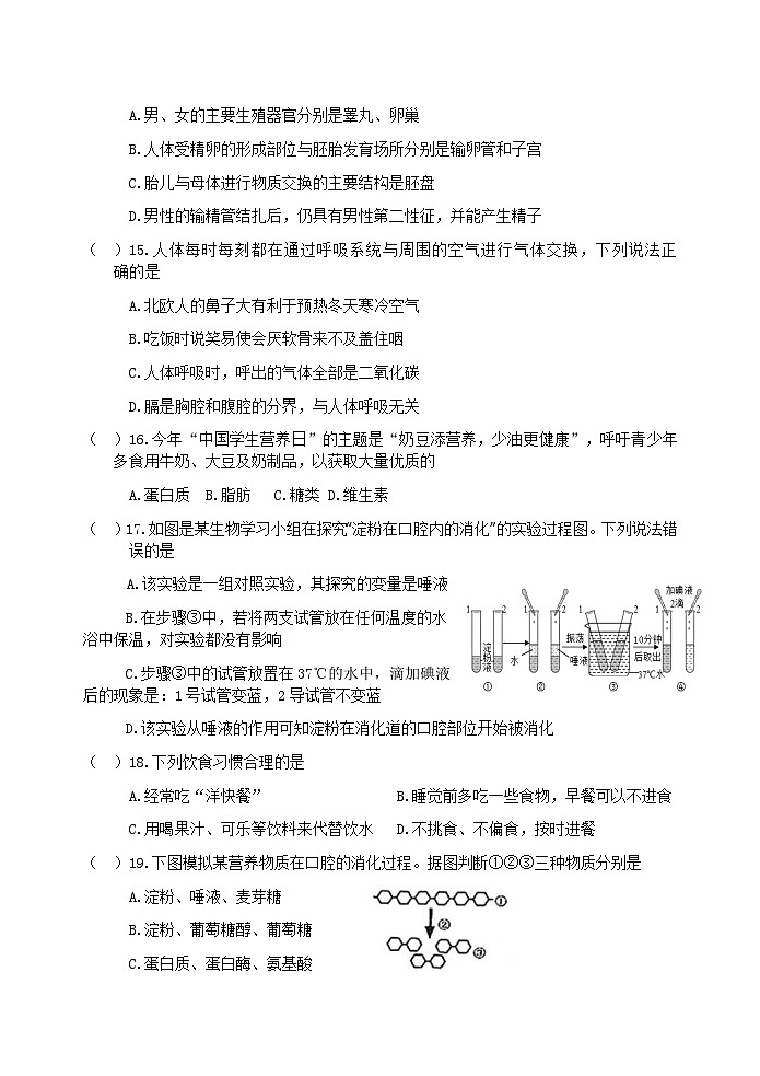 （教研室提供）山东省淄博市淄川区（五四制）2024-2025学年七年级上学期期中考试生物试题第3页