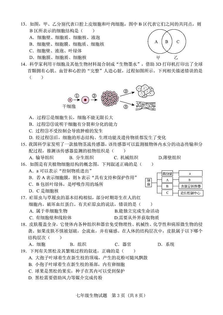 山东省济南市东南片区2024-2025学年七年级上学期期中考试生物试题第3页