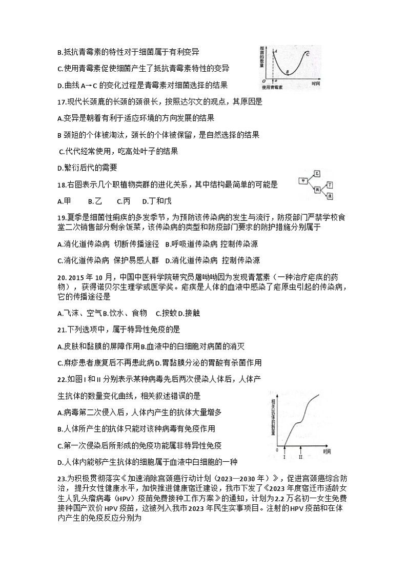 试题第3页