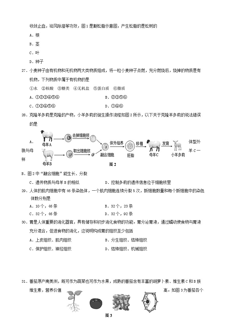2024年秋季期期中质量监测七年级生物试题第2页