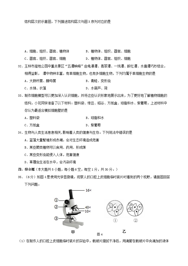 2024年秋季期期中质量监测七年级生物试题第3页