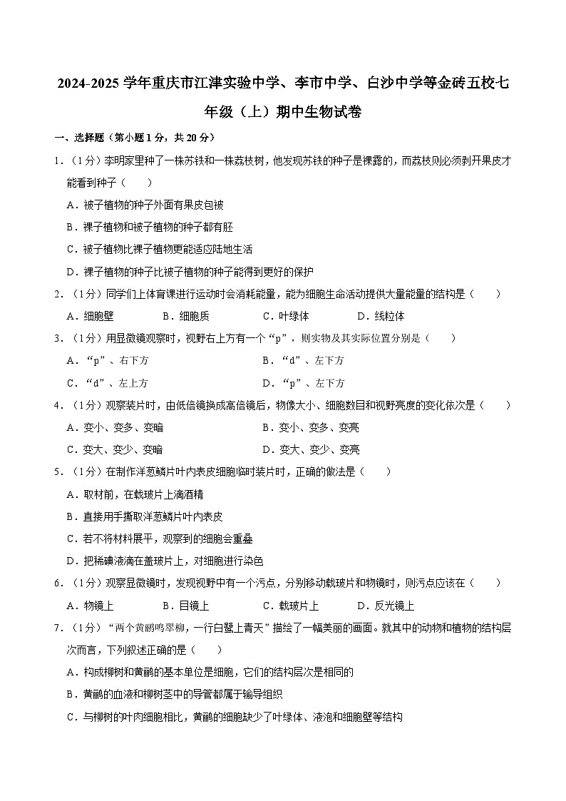 重庆市江津实验中学、李市中学、白沙中学等金砖五校2024-2025学年七年级上学期期中考试生物试卷第1页