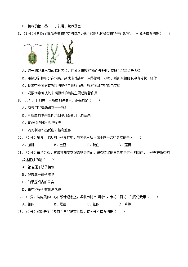 重庆市江津实验中学、李市中学、白沙中学等金砖五校2024-2025学年七年级上学期期中考试生物试卷第2页