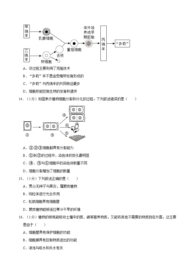 重庆市江津实验中学、李市中学、白沙中学等金砖五校2024-2025学年七年级上学期期中考试生物试卷第3页