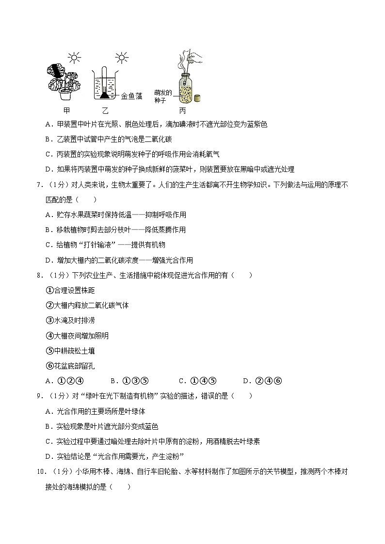 重庆市江津实验中学、京师实验学校等金砖五校2024-2025学年八年级上学期期中联考生物试卷第2页