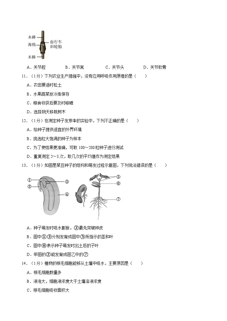 重庆市江津实验中学、京师实验学校等金砖五校2024-2025学年八年级上学期期中联考生物试卷第3页