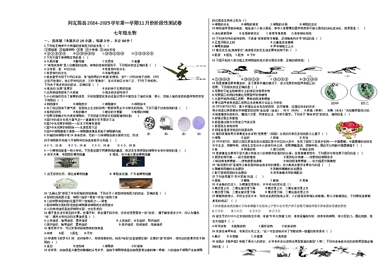 新疆阿克苏地区阿瓦提县2024-2025学年七年级上学期第二梯队11月份阶段性测试生物试卷第1页