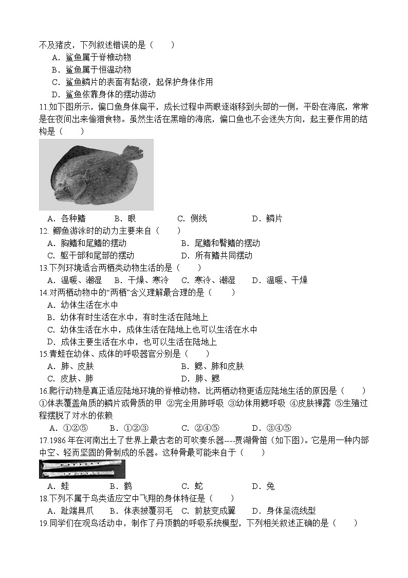 河北省承德市鹰手营子矿区第一中学初中部2024-2025学年七年级上学期第三次月考生物卷第2页