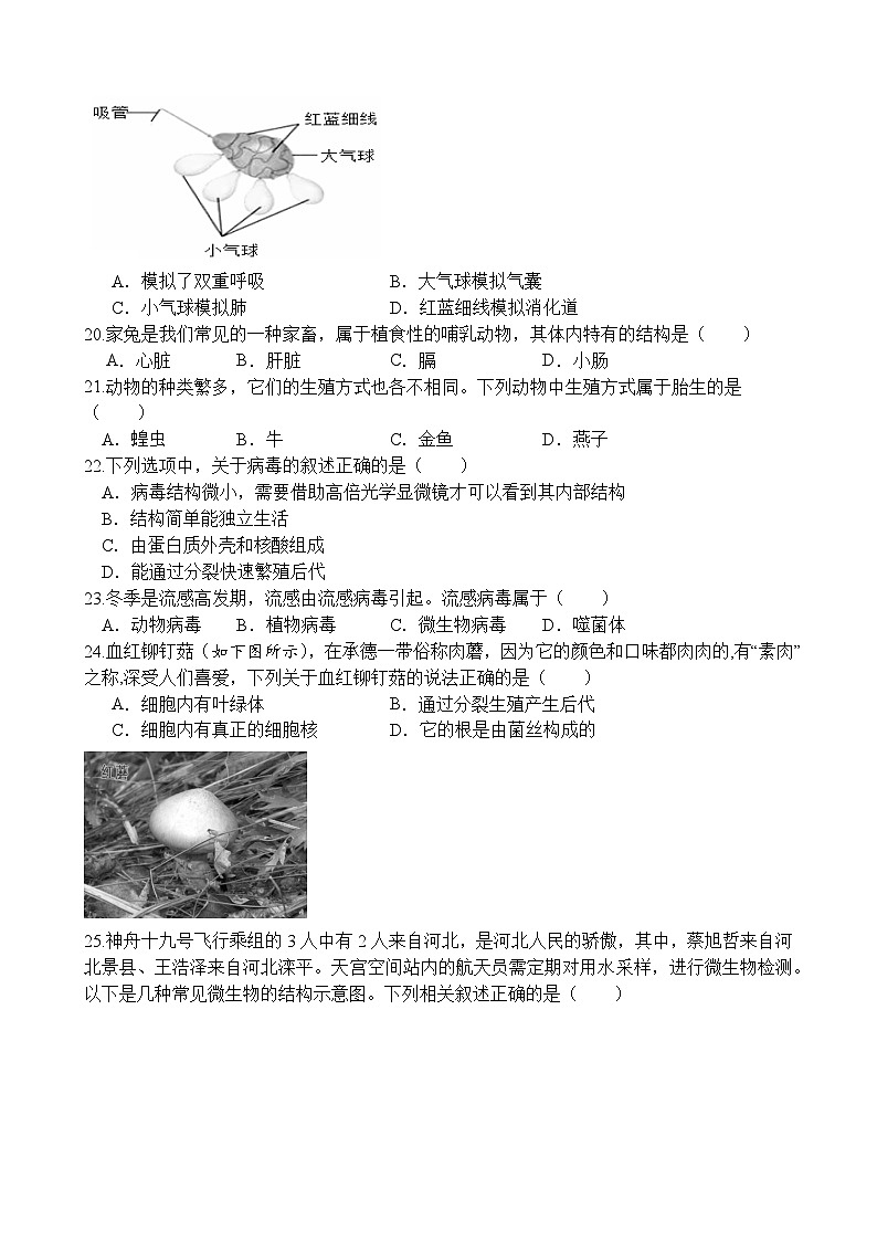 河北省承德市鹰手营子矿区第一中学初中部2024-2025学年七年级上学期第三次月考生物卷第3页