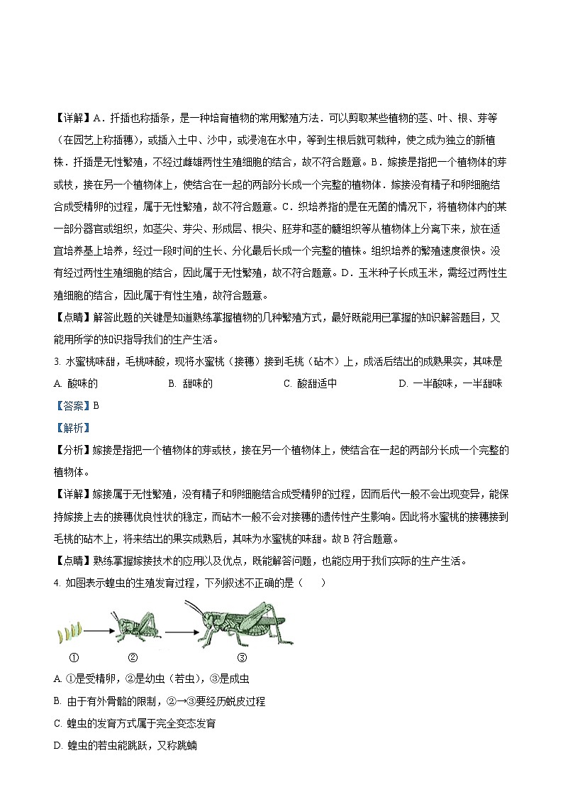黑龙江省大庆市龙凤区2024-2025学年八年级上学期期中生物学试题（解析版）-A4第2页
