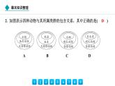 2024人教版生物七年级上册第二单元  第四章第四章 生物分类的方法  章末知识整理 习题课件ppt