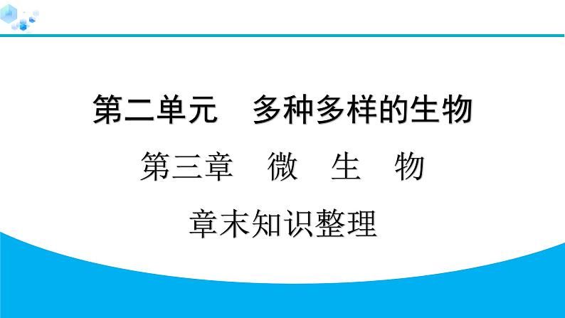 2024人教版生物七年级上册第二单元  第三章微生物  章末知识整理 习题课件ppt第1页