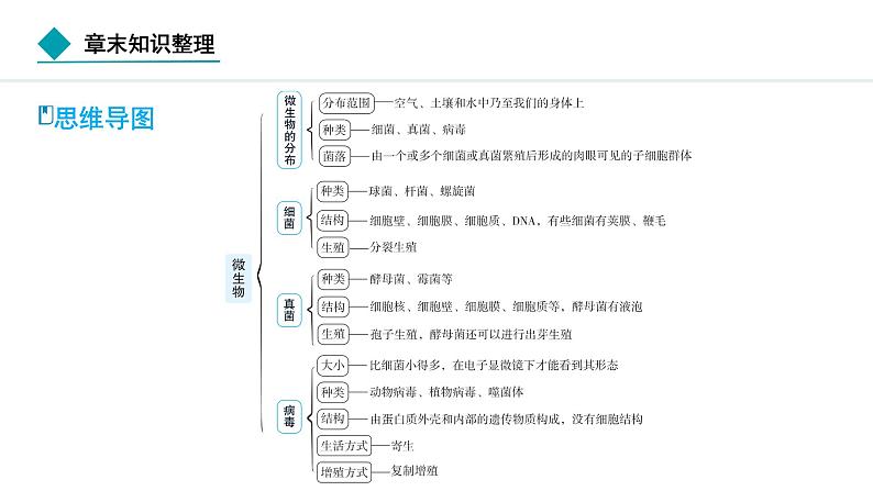 2024人教版生物七年级上册第二单元  第三章微生物  章末知识整理 习题课件ppt第2页