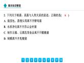 2024人教版生物七年级上册第二单元  第三章微生物  章末知识整理 习题课件ppt
