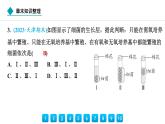 2024人教版生物七年级上册第二单元  第三章微生物  章末知识整理 习题课件ppt