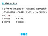 2024人教版生物七年级上册第二单元多种多样的生物第三章微生物专题训练(五)  微生物 习题课件ppt