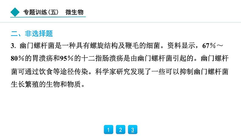 2024人教版生物七年级上册第二单元多种多样的生物第三章微生物专题训练(五)  微生物 习题课件ppt第4页