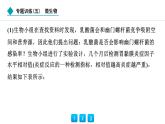 2024人教版生物七年级上册第二单元多种多样的生物第三章微生物专题训练(五)  微生物 习题课件ppt