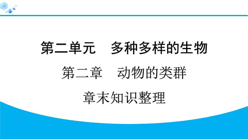2024人教版生物七年级上册第二单元 第二章动物的类群  章末知识整理 习题课件ppt第1页