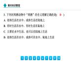 2024人教版生物七年级上册第二单元 第二章动物的类群  章末知识整理 习题课件ppt