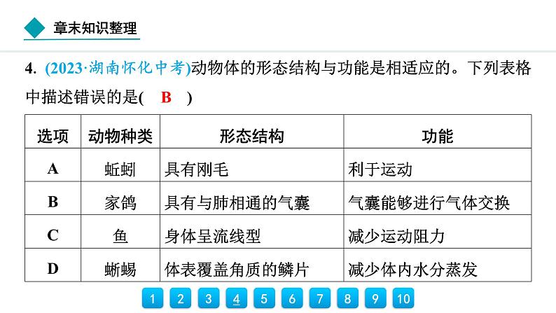 2024人教版生物七年级上册第二单元 第二章动物的类群  章末知识整理 习题课件ppt第6页