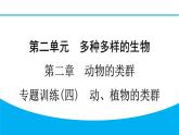 2024人教版生物七年级上册第二单元多种多样的生物第二章动物的类群专题训练(四)　动、植物的类群 习题课件ppt