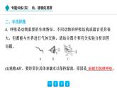 2024人教版生物七年级上册第二单元多种多样的生物第二章动物的类群专题训练(四)　动、植物的类群 习题课件ppt