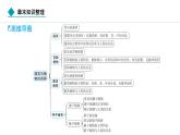 2024人教版生物七年級上冊第二單元多種多樣的生物第一章藻類與植物的類群第一章  章末知識整理 習題課件ppt