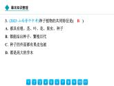 2024人教版生物七年級上冊第二單元多種多樣的生物第一章藻類與植物的類群第一章  章末知識整理 習題課件ppt