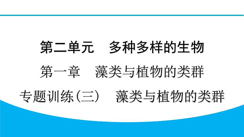 2024人教版生物七年级上册第二单元多种多样的生物第一章藻类与植物的类群专题训练(三)　藻类与植物的类群 习题课件ppt第1页