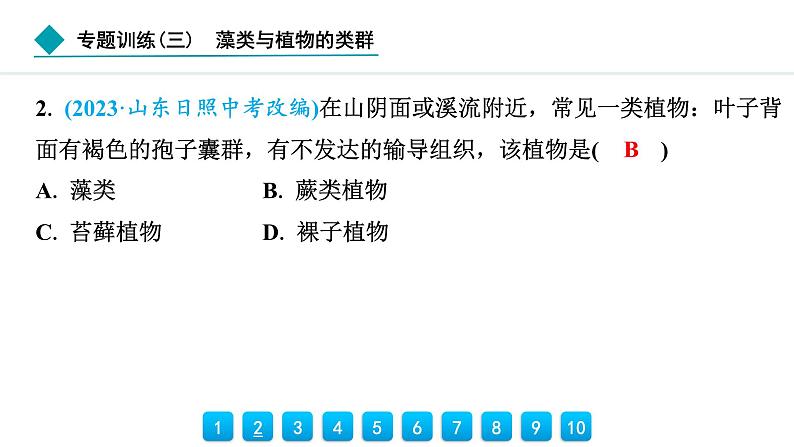 2024人教版生物七年级上册第二单元多种多样的生物第一章藻类与植物的类群专题训练(三)　藻类与植物的类群 习题课件ppt第3页