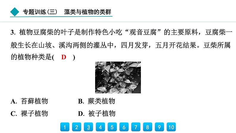 2024人教版生物七年级上册第二单元多种多样的生物第一章藻类与植物的类群专题训练(三)　藻类与植物的类群 习题课件ppt第4页