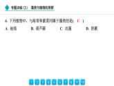 2024人教版生物七年级上册第二单元多种多样的生物第一章藻类与植物的类群专题训练(三)　藻类与植物的类群 习题课件ppt