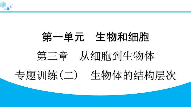 2024人教版生物七年级上册第三章从细胞到生物体专题训练(二)　生物体的结构层次 习题课件ppt第1页