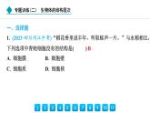 2024人教版生物七年级上册第三章从细胞到生物体专题训练(二)　生物体的结构层次 习题课件ppt