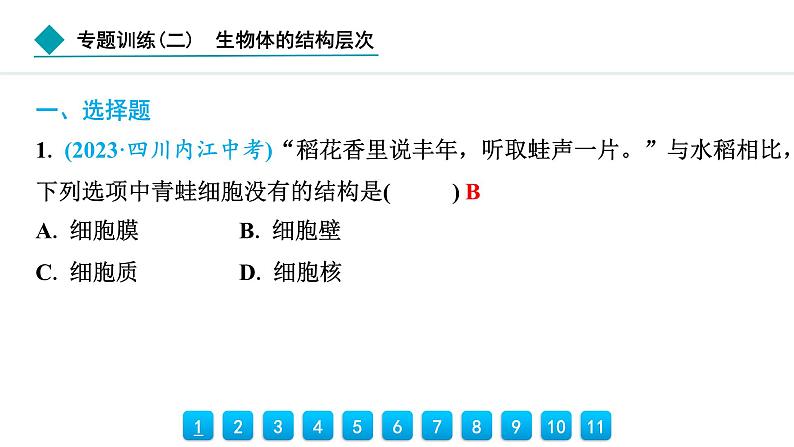 2024人教版生物七年级上册第三章从细胞到生物体专题训练(二)　生物体的结构层次 习题课件ppt第2页