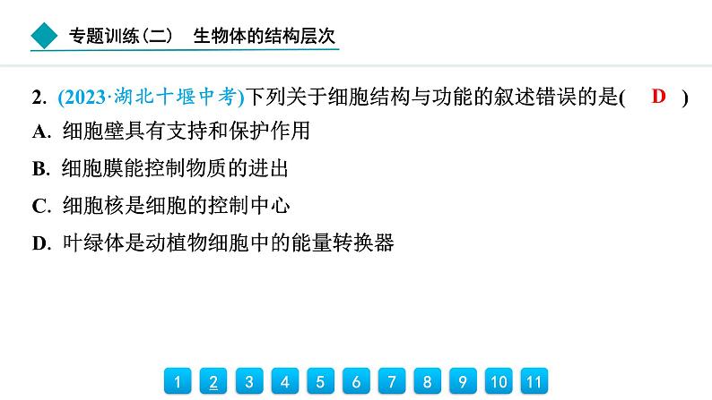 2024人教版生物七年级上册第三章从细胞到生物体专题训练(二)　生物体的结构层次 习题课件ppt第3页