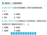 2024人教版生物七年级上册第三章从细胞到生物体专题训练(二)　生物体的结构层次 习题课件ppt