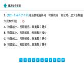 2024人教版生物七年级上册第一单元生物和细胞第二章认识细胞第二章章末知识整理 习题课件ppt