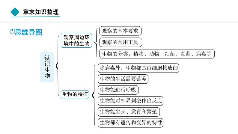 2024人教版生物七年级上册第一单元生物和细胞第一章认识生物知识整理 习题课件ppt第2页