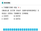 2024人教版生物七年级上册第一单元生物和细胞第一章认识生物知识整理 习题课件ppt