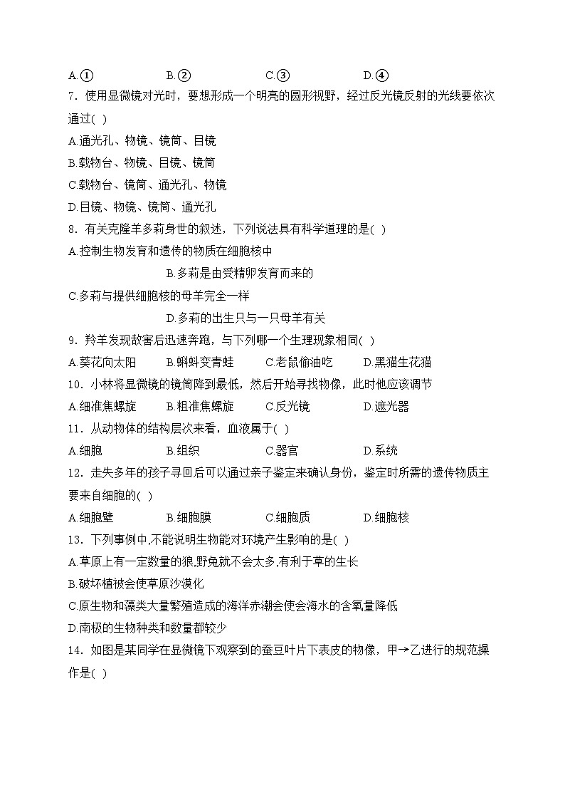 广东省清远市清新区第四中学六校联考2024-2025学年七年级上学期11月期中考试生物试卷(含答案)第2页