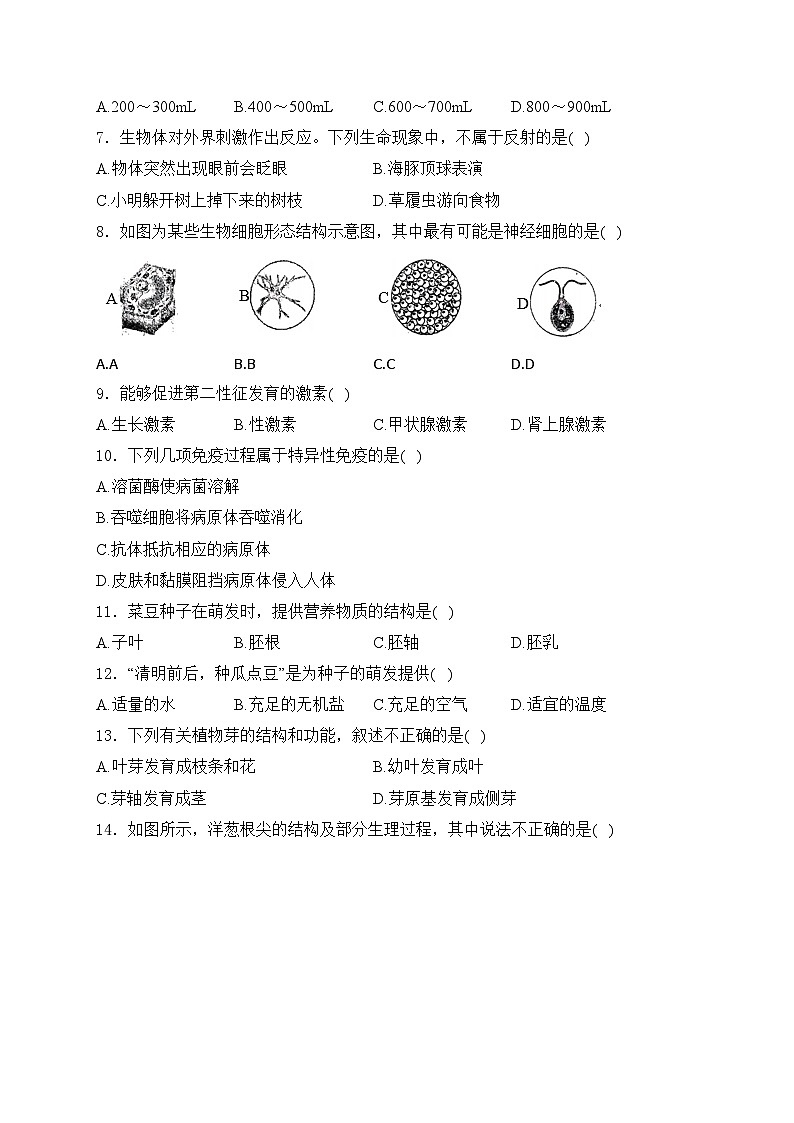 石家庄市第十三中学2024-2025学年八年级上学期10月月考生物试卷第2页